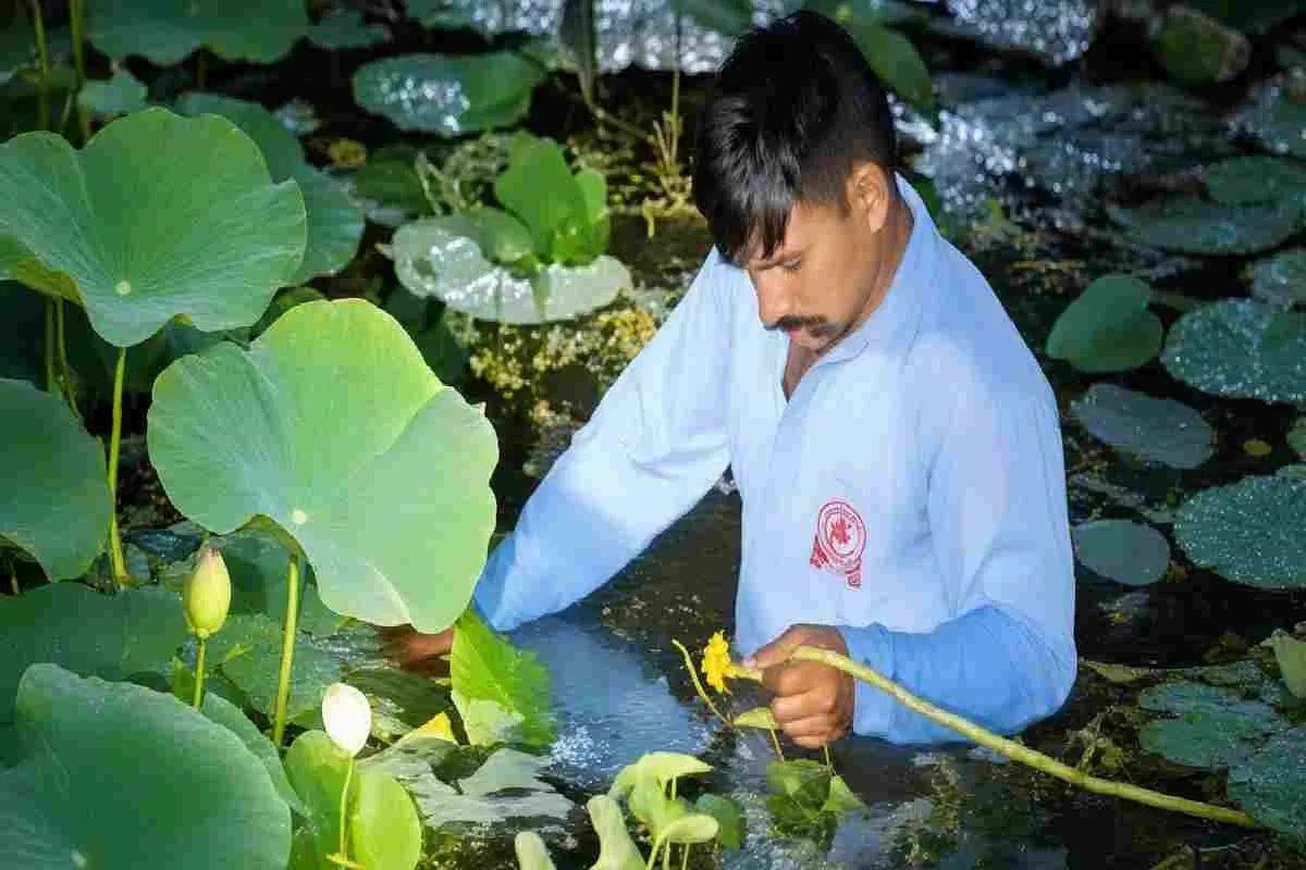 Family ruined by domestic strife: पानी में बच्ची को ढूंढते लोग (Photo Source - Patrika)