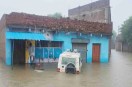 Rain in rajghar: राजगढ़ में बारिश का कहर (Photo Source - Patrika)
