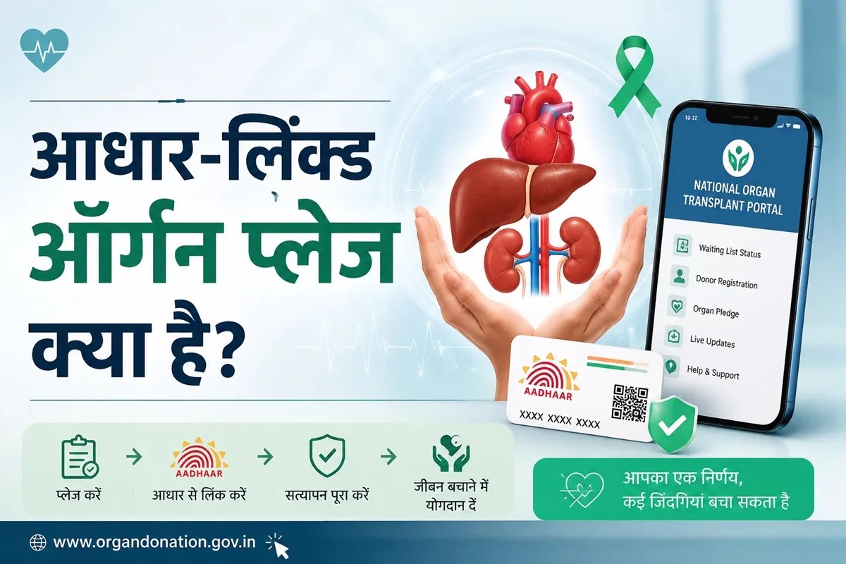 Organ Transplant