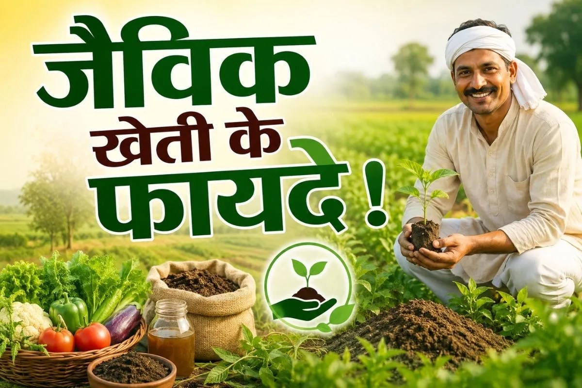 Organic Farming