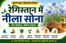 Organic Farming News.