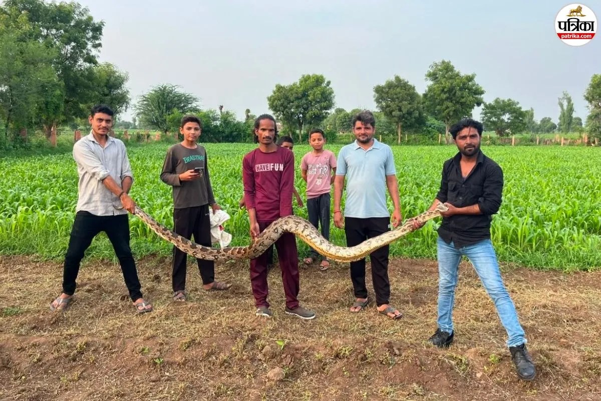 woman finds python tail in hand