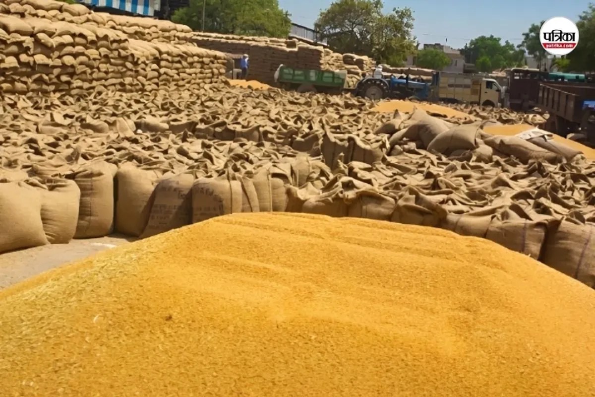 Rajasthan MSP Wheat Scam