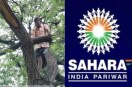 Sahara India Investor Protest Delhi