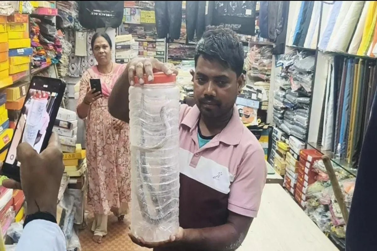 Snake entered in cloth shop