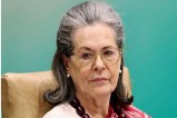 Sonia Gandhi Book