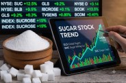 Sugar Share Price Hike