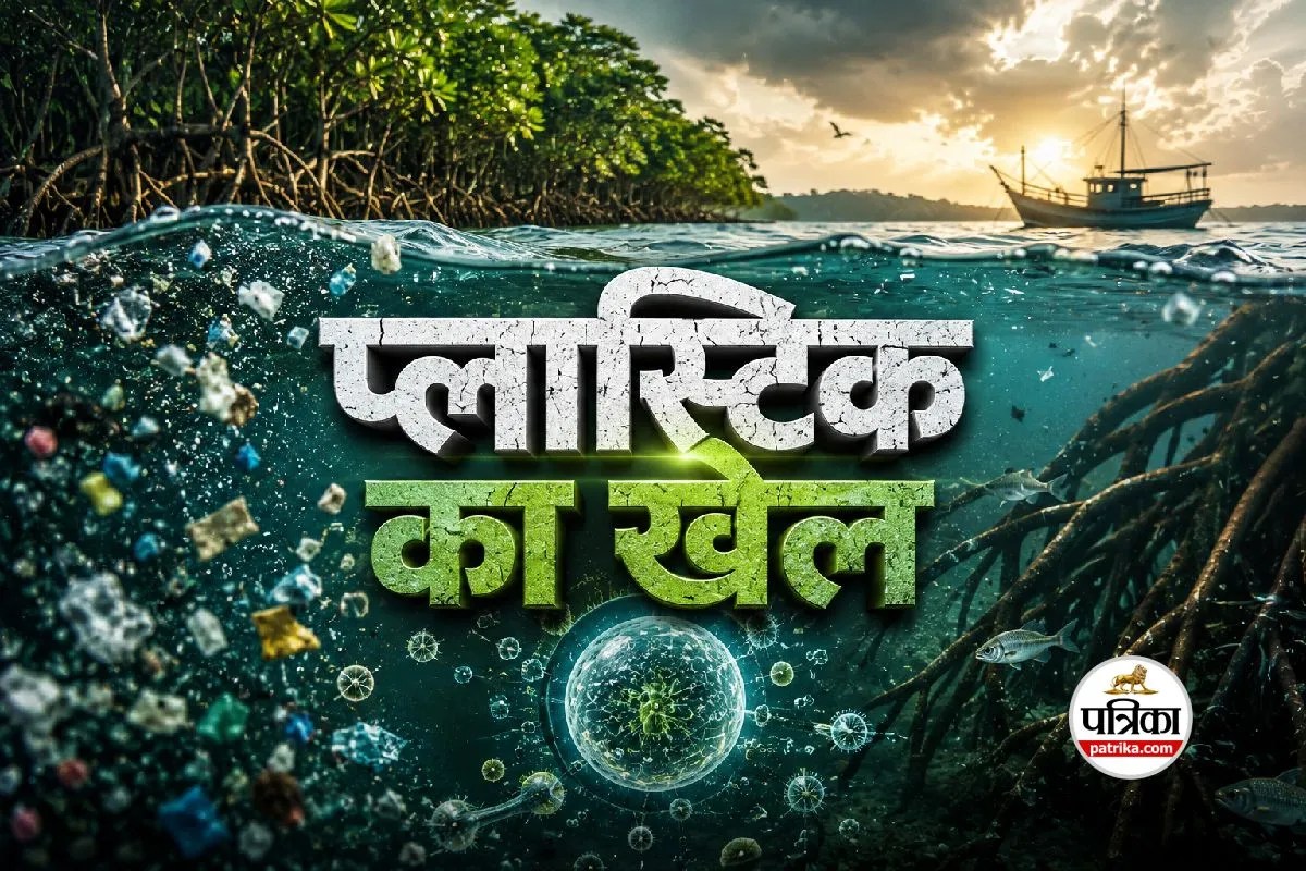 Sundarbans Microplastics carbon cycle