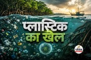 Sundarbans Microplastics carbon cycle