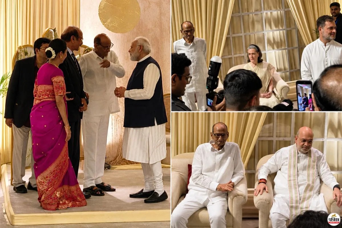 Revati Sule Wedding Reception Delhi
