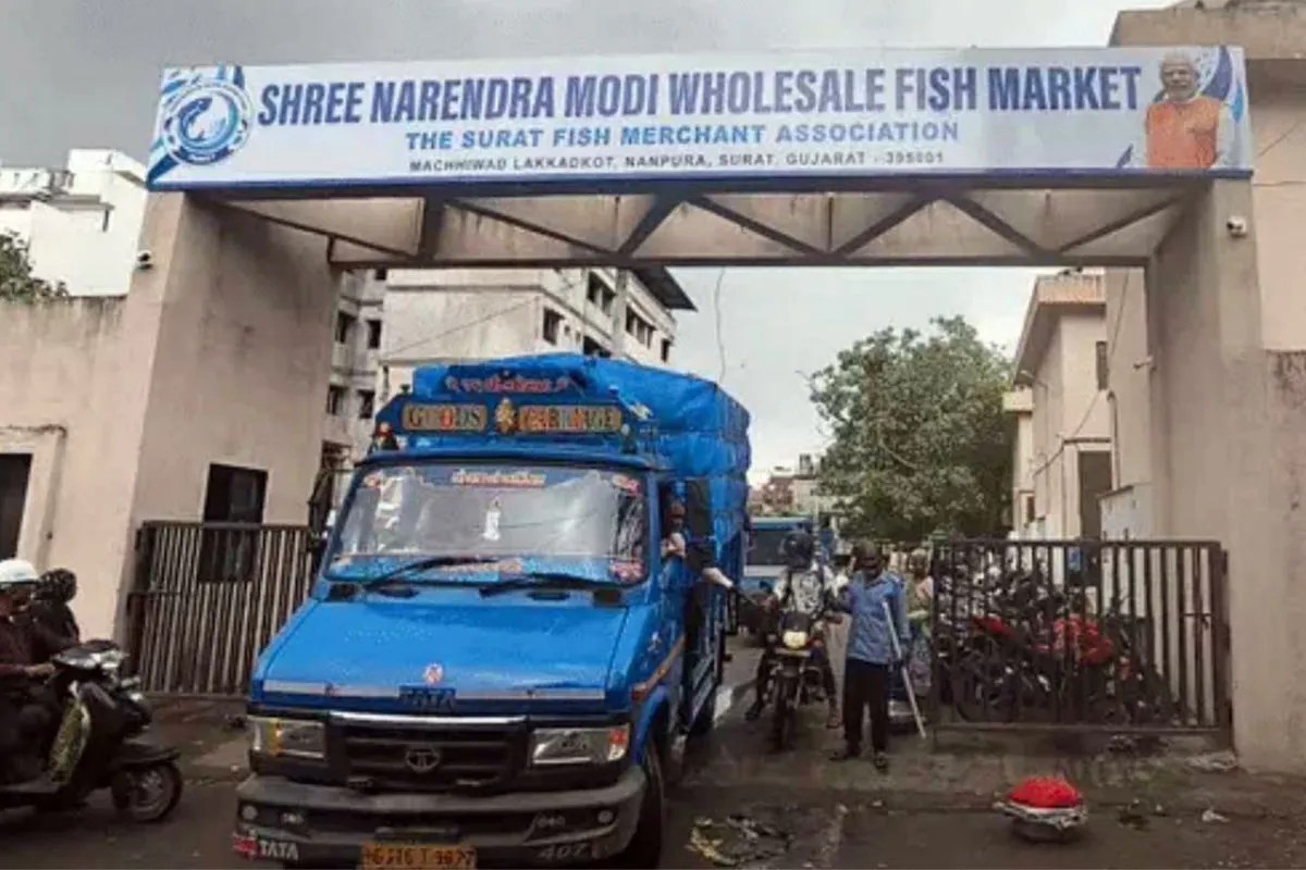 Surat Fish Market