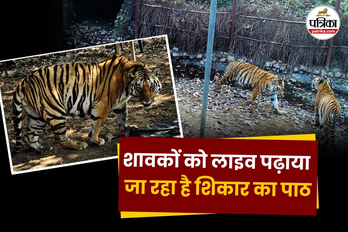 Kanha Tiger Reserve