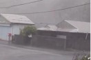 Typhoon Dolphin Japan China.