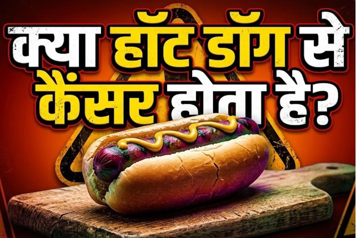 Hot dog