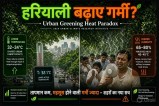 Urban Greening Heat Paradox