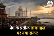 WEB TAJ