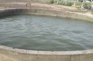 Well Water