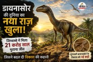Zimbabwe New Dinosaur Species
