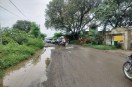 Matsya University road