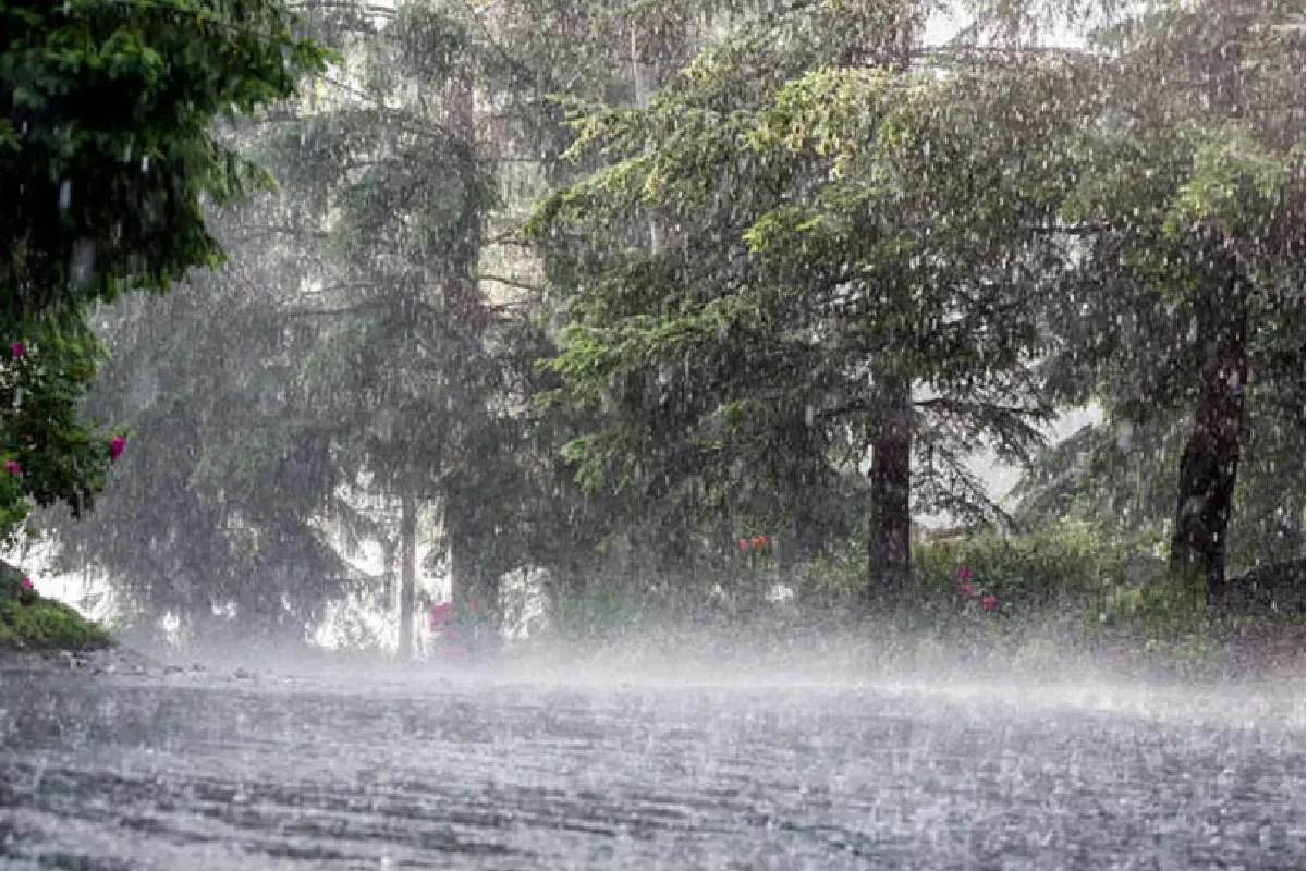 Heavy Rain Orange Alert