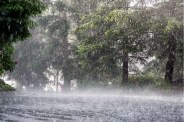 Heavy Rain Orange Alert