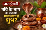 nag panchami special coincidence rahu ketu kaal sarp dosh