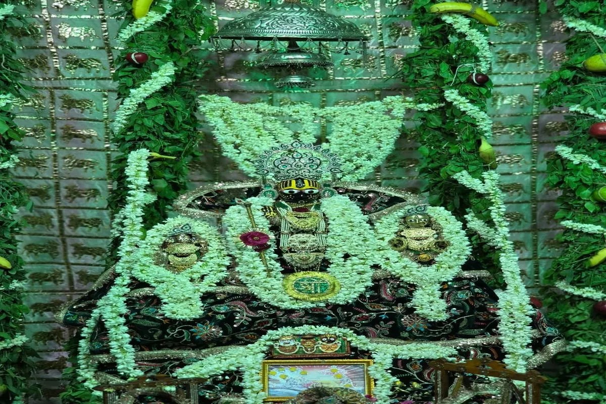 Nagaur: Banshiwala adorned in the hues of greenery.