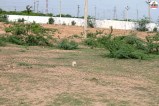 barmer shiv subdivision stadium