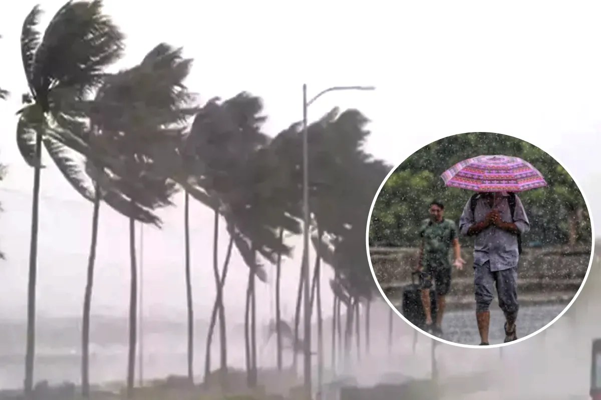 MP Weather