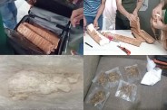 bhopal drugs