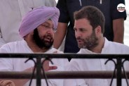 amarinder singh punjab congress