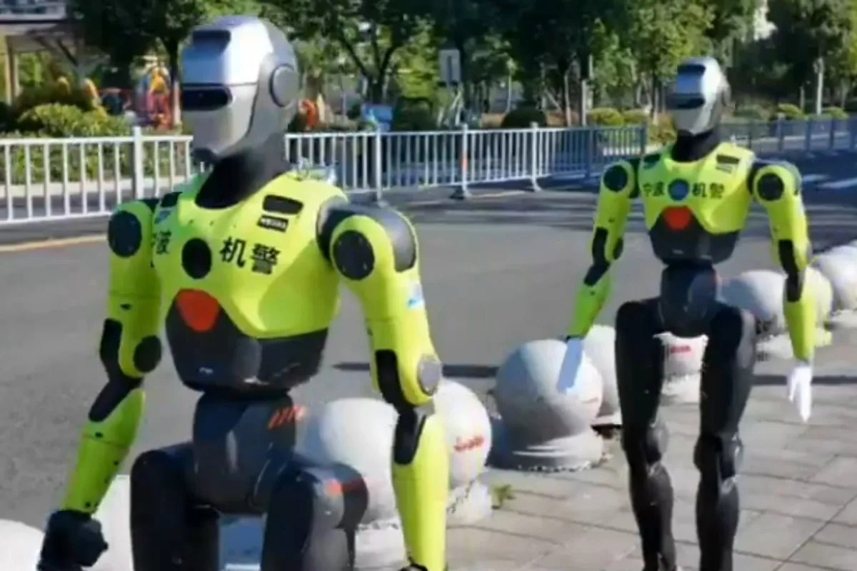 Chinese robots