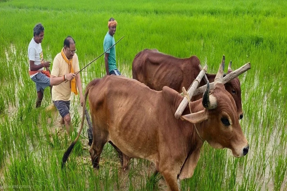 chhattisgarh cm vishnudeo sai