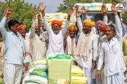 Rajasthan farmers get easily fertilizer Know online booking process