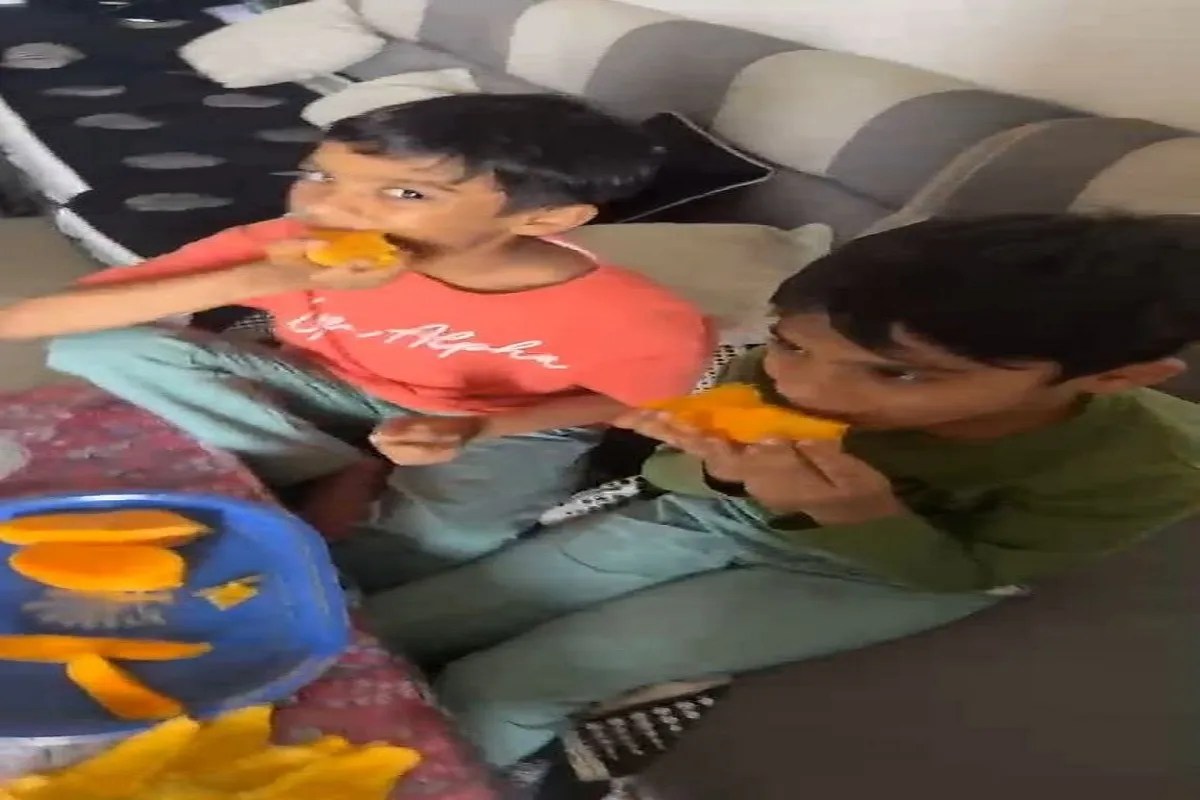 Twin brothers drown in resort swimming pool near Umeta, Anand