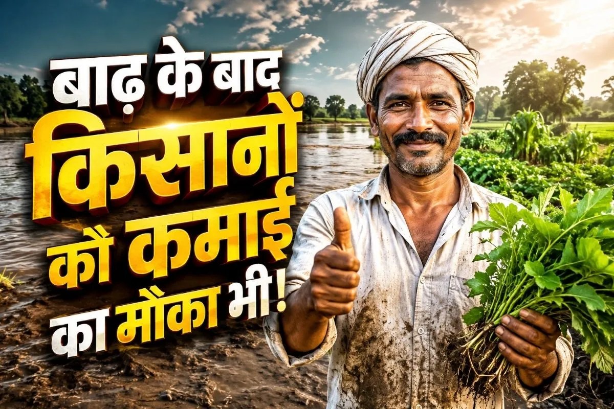 flood good for farmer