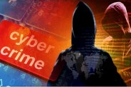 Cyber Fraud