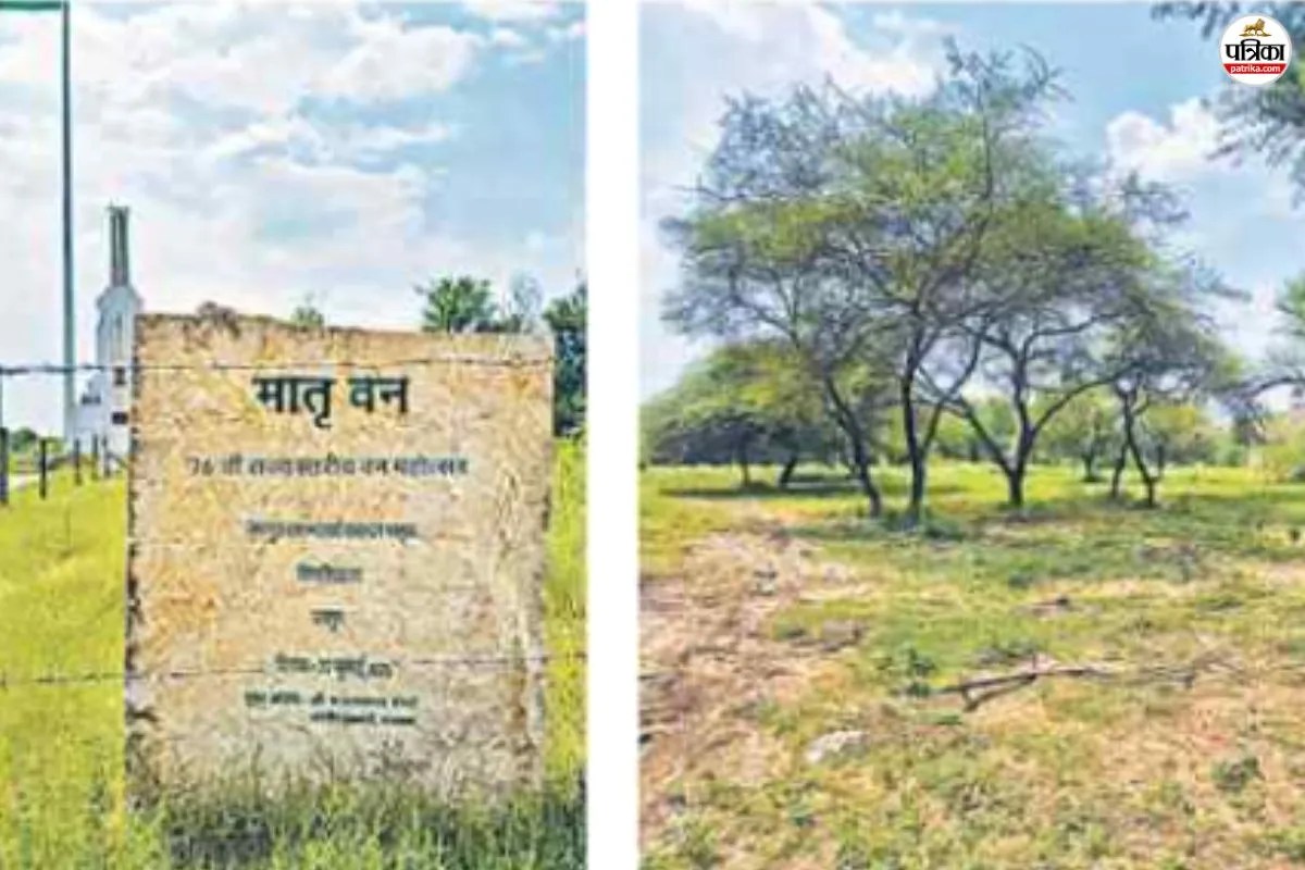 hariyalo rajasthan