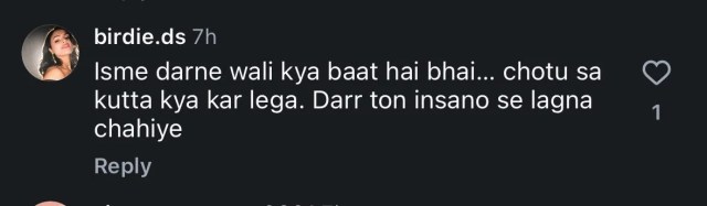 Raveena Tandon dog attack incident