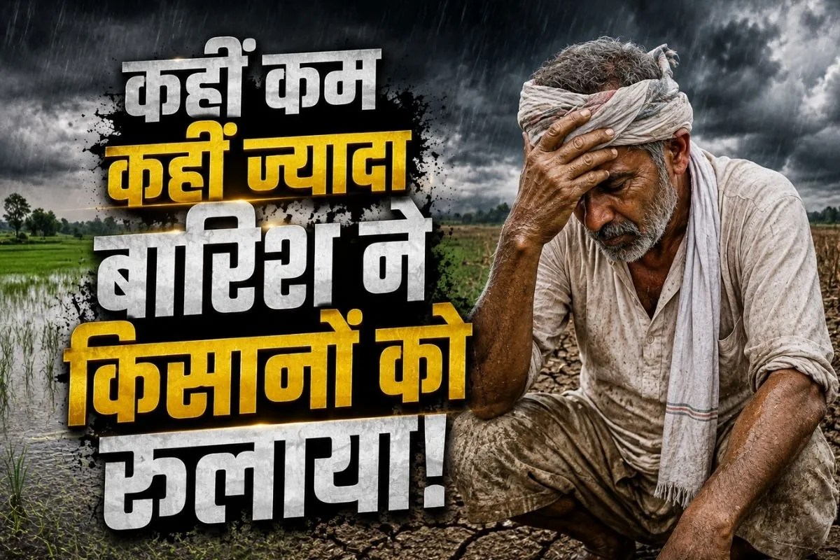 india rainfall 2026