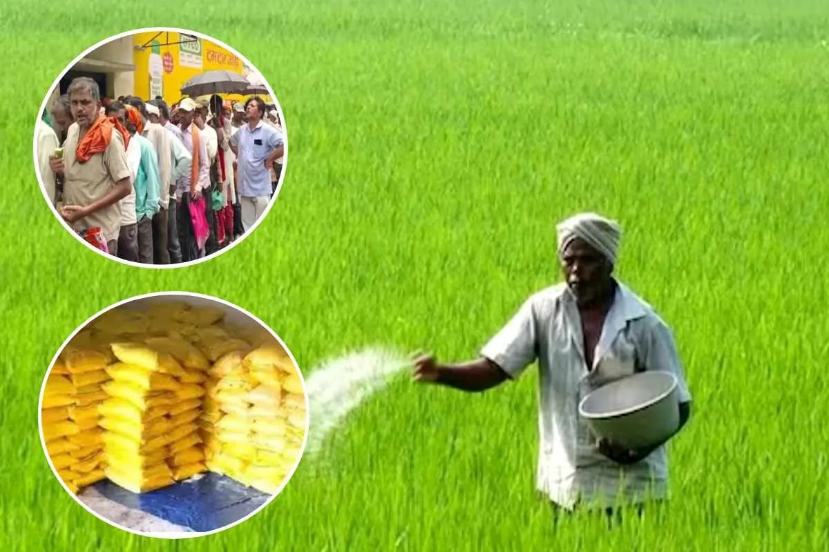 Fertilizer Shortage In MP