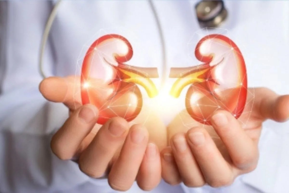 kidney transplant