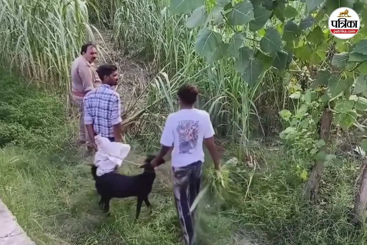 5 से 8 किलोमीटर के दायरे में तलाश