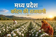 madhya pradesh cotton capital of india