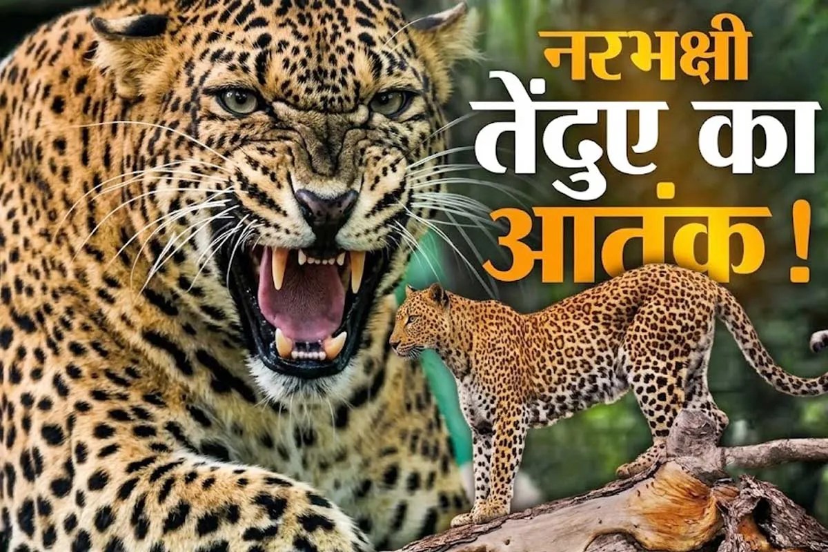 moradabad leopard attack farmer killed