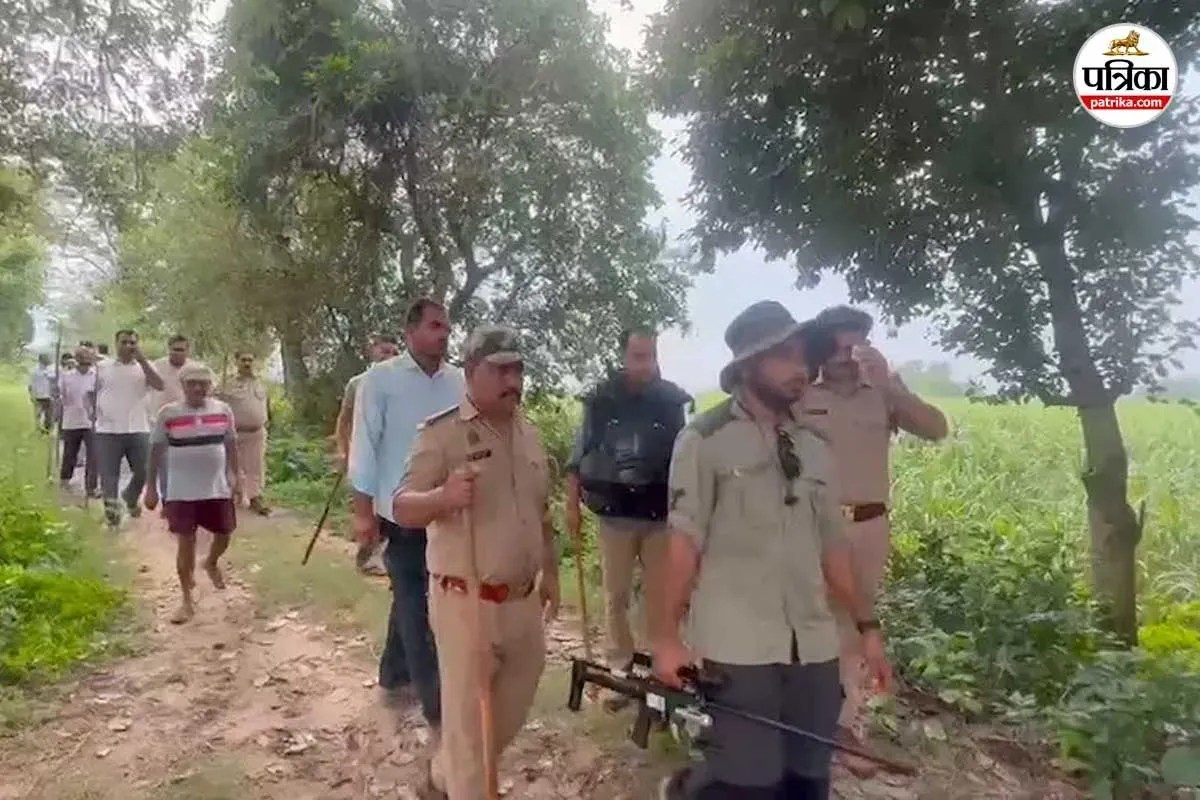 तेंदुए की तलाश में कॉम्बिंग ऑपरेशन