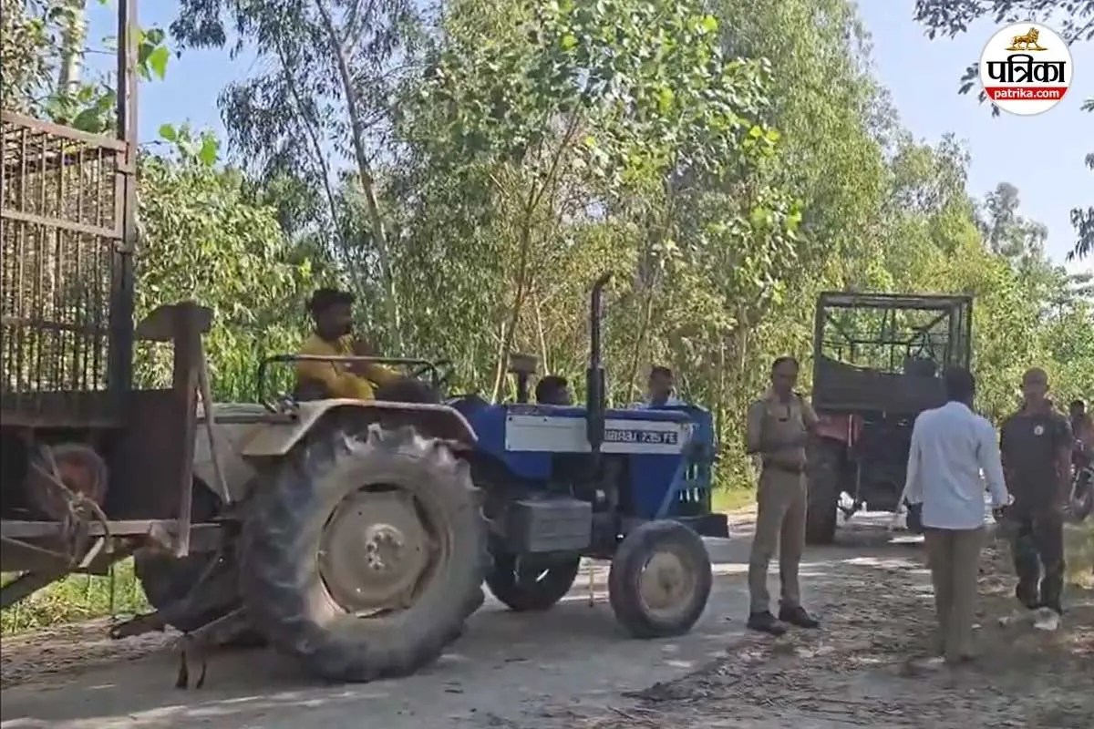 moradabad leopard terror female cubs rescue operation