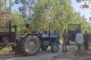 moradabad leopard terror female cubs rescue operation