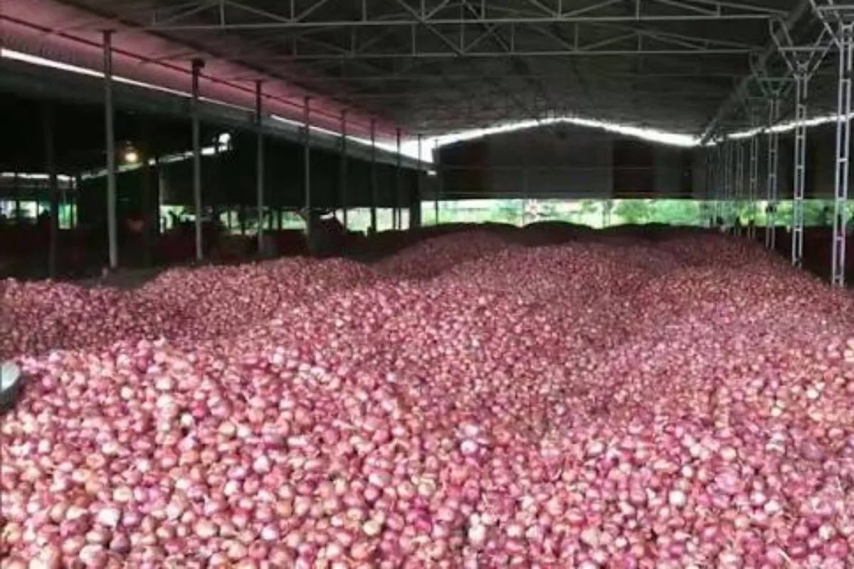 Onions