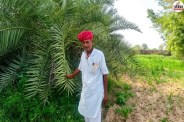 barmer organic farming model